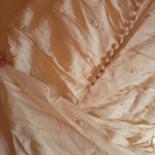 Pronovias Rangun 100% Dupion Silk wedding dress size EU 38 like new