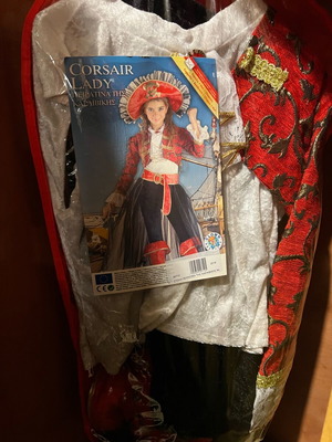 Pirate Halloween costume like new