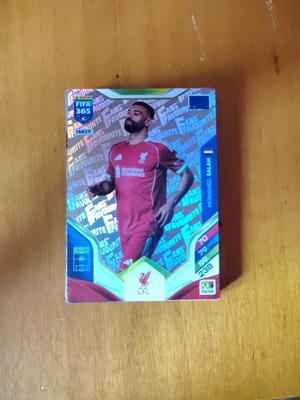 Mohammed Salah Panini Card new, original