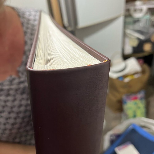 Wedding photo album new