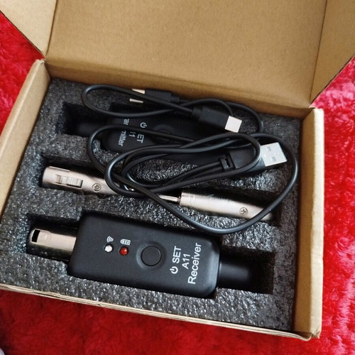 Dynamic microphone model E120 like new for speeches and karaoke