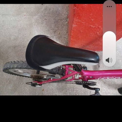 Ridgeback aluminum kids bicycle used, girls