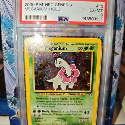 Meganium NG 10 PSA 6 Pokemon card