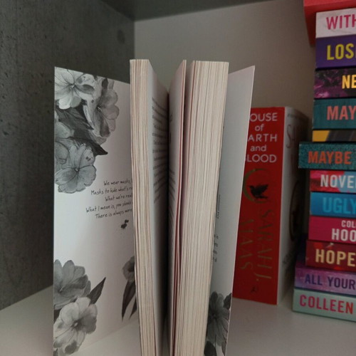 It Will End Like This book like new, in English