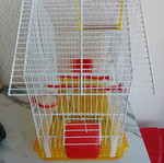 Bird Cage like new