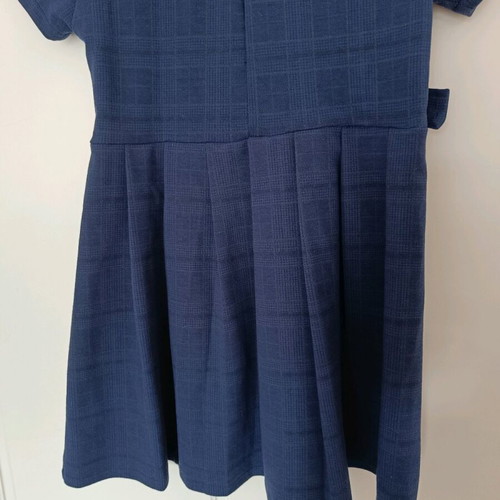 Zara blue nautical check dress like new