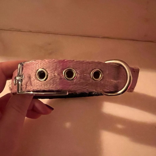 Dog collar used in pink color with leather lining