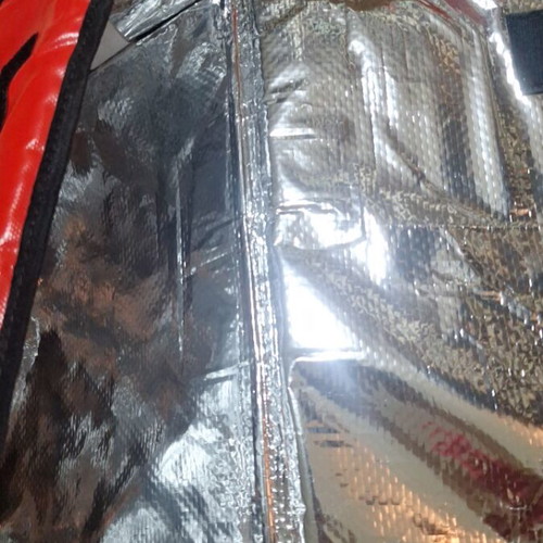 Insulated Delivery Bag efood for Pizza New