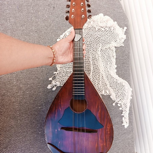 Handmade Mandolin 2023, Mournia spruce top, Antonis Agrimanakis