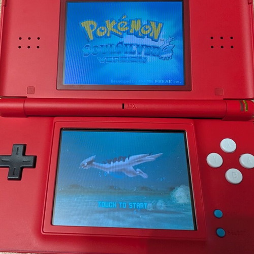 Nintendo DS Lite with Pokedex shell, charger, new battery, and R4 card
