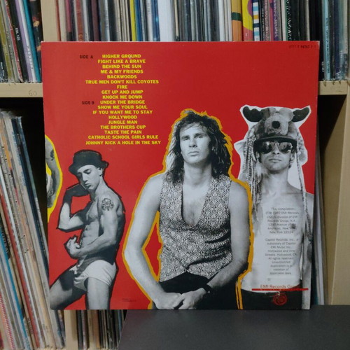 Red Hot Chili Peppers What Hits? Best Of vinyl record