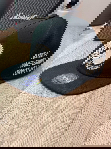 Space Jam “That’s all folks” Jordan cap
