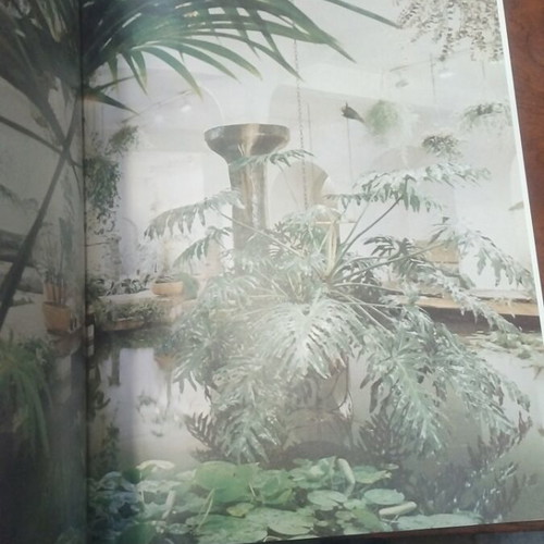 Decorative Plants book used, excellent condition