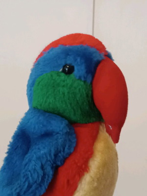 Vintage stuffed parrot used