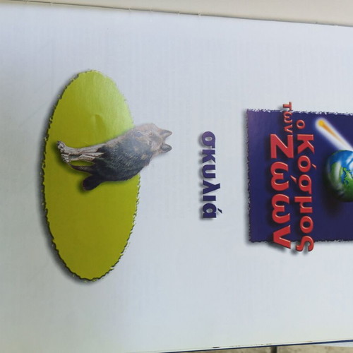 O Kosmos ton Zoon Children Book used, dogs and felines