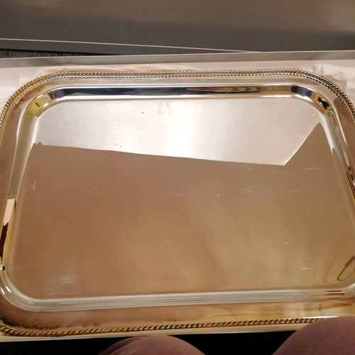 Set of 2 silver-plated serving trays new Costa Boda Papilon