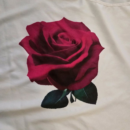 Shein women's blouse XL new, white with pink rose