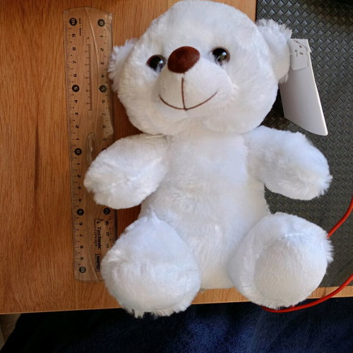 White teddy bear brand new