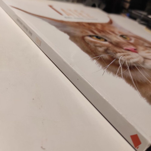 Cats breeds, care, behavior like new book