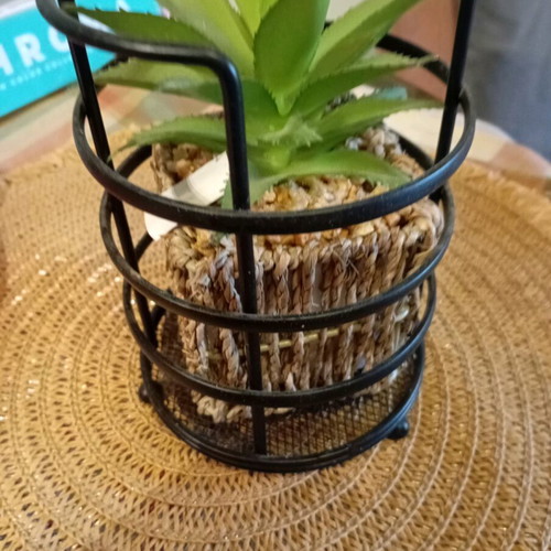 Decorative plant in seaweed new, together