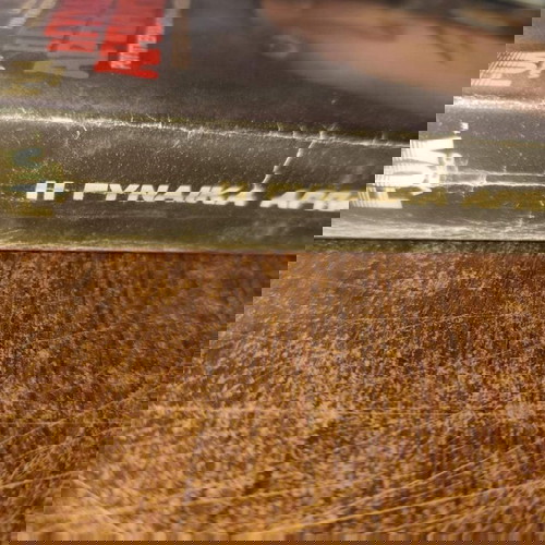 Лесбиянкаларды HD сапасында көріңіз