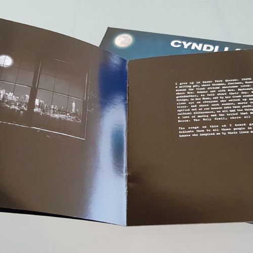 Cyndi Lauper At Last CD like new