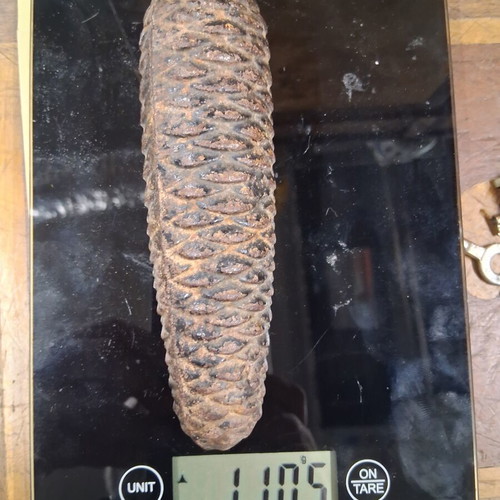 Pine cone for clock used 1,100 grams