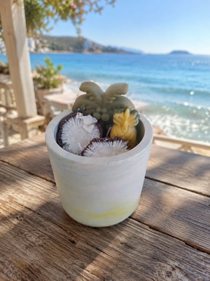 Handmade scented candle with soy wax and reusable porcelain container
