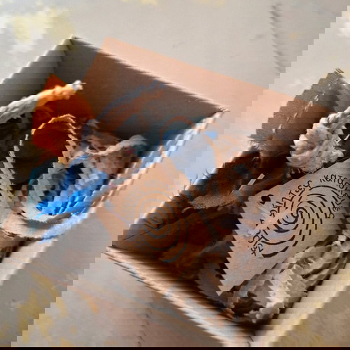 Διακοσμητικό τοίχου χειροποίητο μεταλλικό ρόδι 9 cm σε κουτάκι