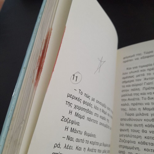 The Little Josephine used children's book with notes