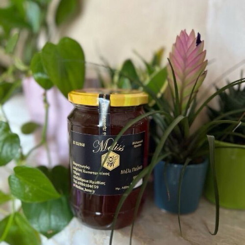 Pine Honey from Chalkidiki new