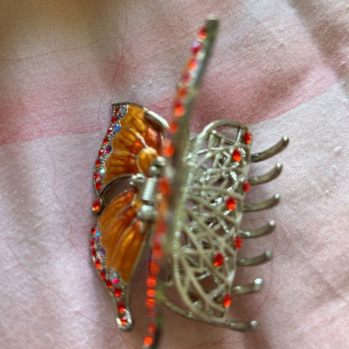Butterfly new