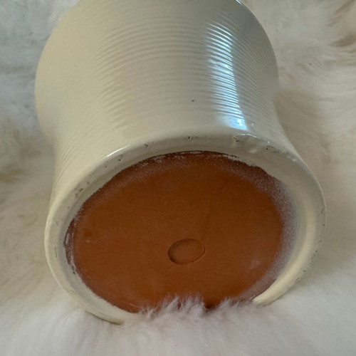 Beige ceramic flowerpot and new