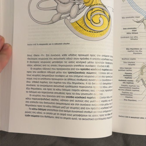 Duus’ Diagnostic Localization in Neurology book new