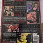 Spider-Man's Tangled Web Vol 3 The Shadow of Spider-Man TPB Marvel graphic novel used