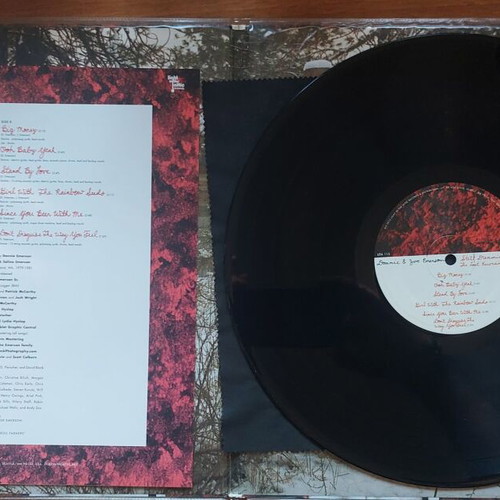 Donnie & Joe Emerson Still Dreamin’ Wild LP mint, pop