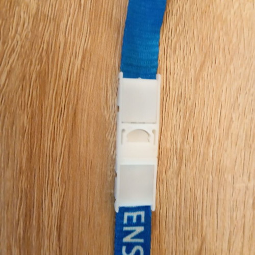 Lanyard Athens 2004 collectible new unused