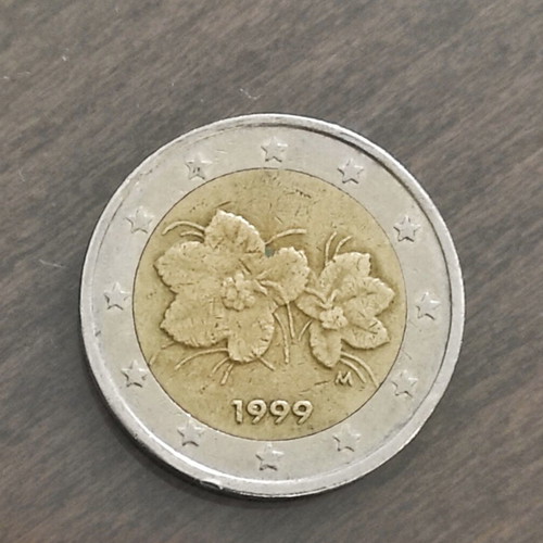 2 Euro Coin Finland 1999 used, cloudberry design