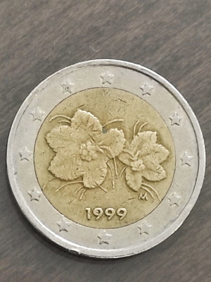 2 Euro Coin Finland 1999 used, cloudberry design