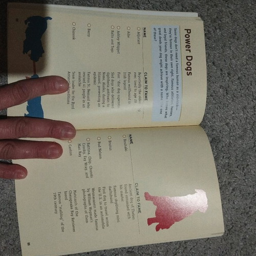 Calling All Dogs book like new in English for dog names