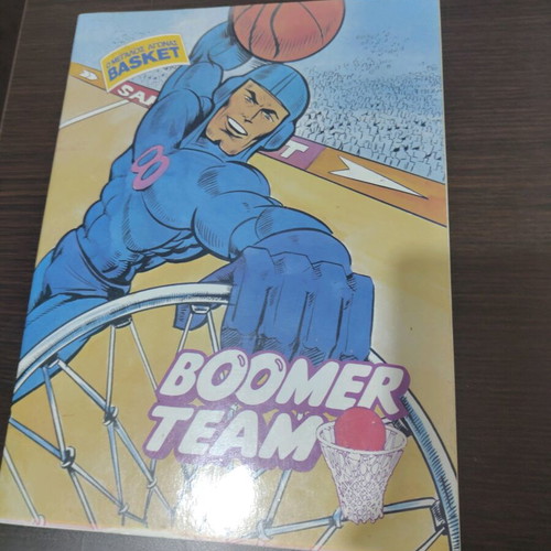 Boomer with 31 missing stickers in very good condition