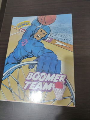 Boomer with 31 missing stickers in very good condition