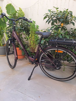 Ecobike Traffik ηλεκτρικό ποδήλατο πόλης 36V 10.4Ah, 29 ιντσών