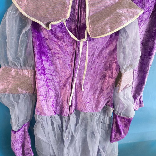 Princess carnival costume like new with velvet leggings for 11-12 years