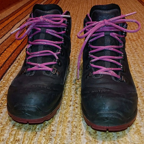 Ecco Biom Gore-Tex boots like new, size 39