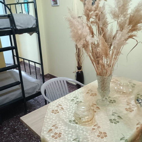 Studio apartment 40sqm in Nea Styra Evia
