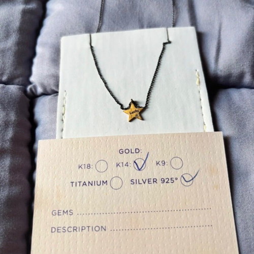 Necklace with 14K yellow gold motif and diamond, silver chain