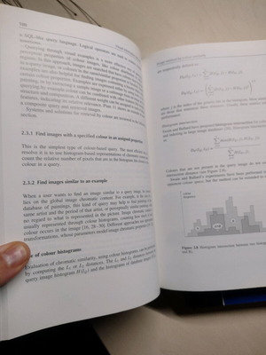 Visual Information Retrieval like new, English