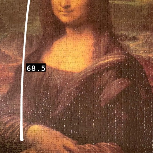Mona Lisa puzzle 1000 pieces new, ready glued for framing