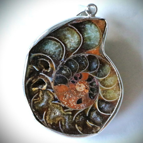 Fossil pendant 10,000 years old, handmade, 925 sterling silver